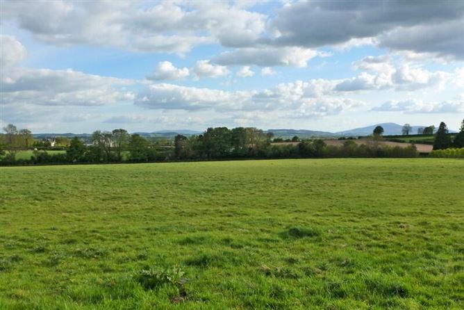 Newtown Stud, Callan, County Kilkenny