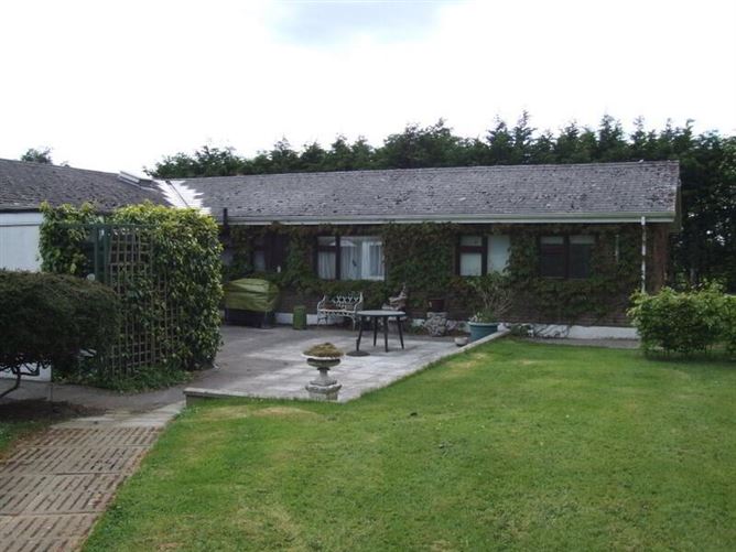 Newtown Stud, Callan, County Kilkenny