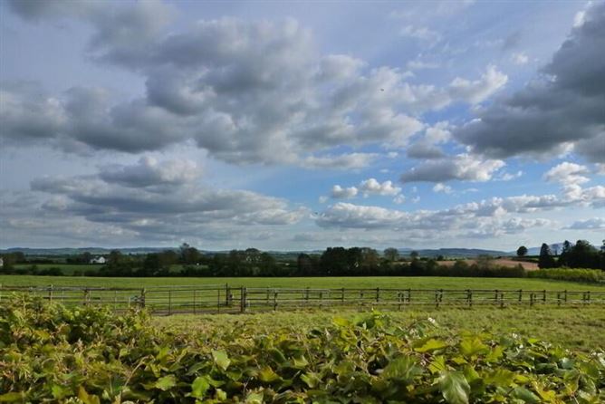 Newtown Stud, Callan, County Kilkenny