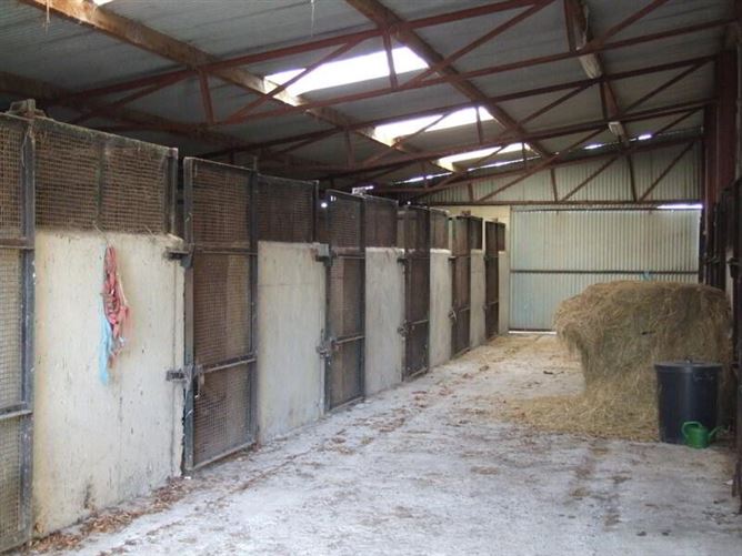 Newtown Stud, Callan, County Kilkenny