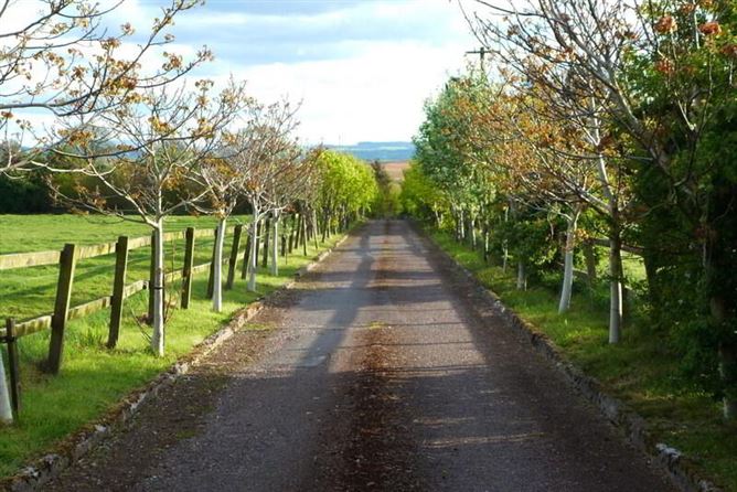 Newtown Stud, Callan, County Kilkenny