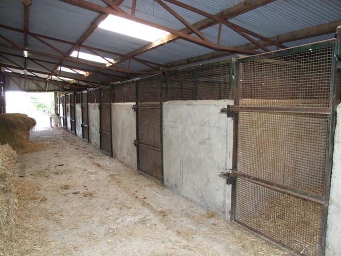 Newtown Stud, Callan, County Kilkenny