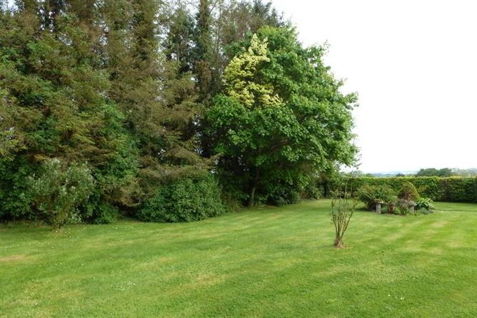 Newtown Stud, Callan, County Kilkenny