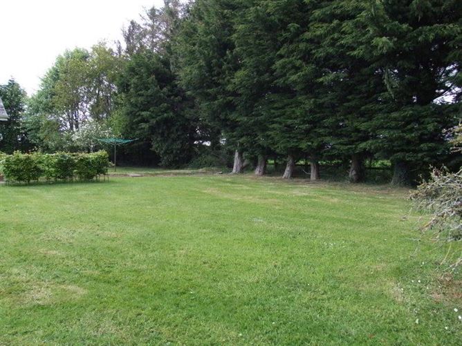 Newtown Stud, Callan, County Kilkenny