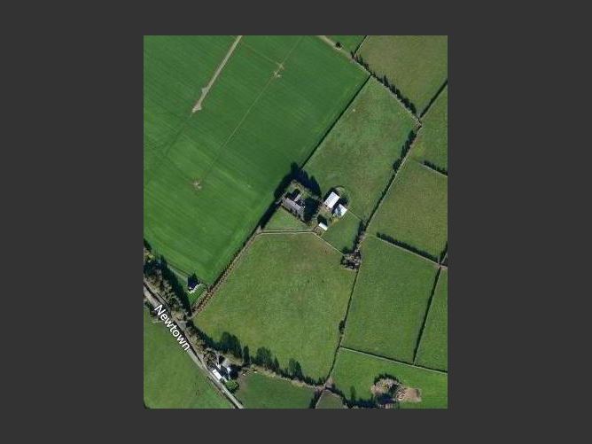 Newtown Stud, Callan, County Kilkenny
