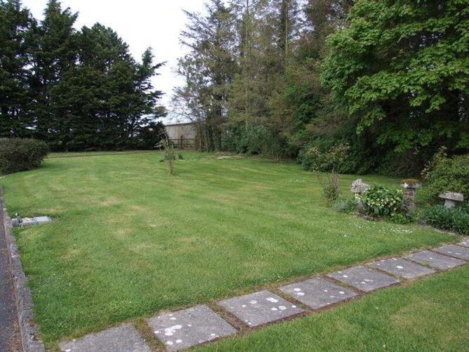 Newtown Stud, Callan, County Kilkenny