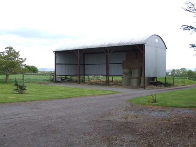 Newtown Stud, Callan, County Kilkenny
