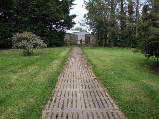 Newtown Stud, Callan, County Kilkenny