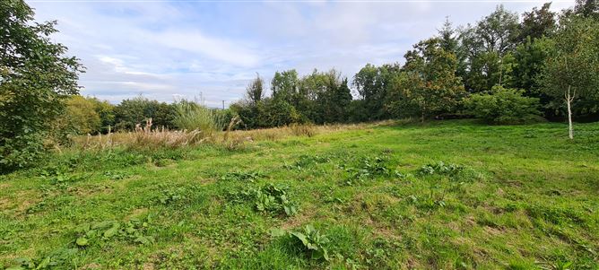 Leamonish, Foxfield, Fenagh, Leitrim