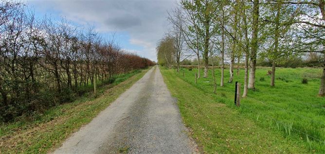 Bohergar, Boher, Murroe, County Limerick