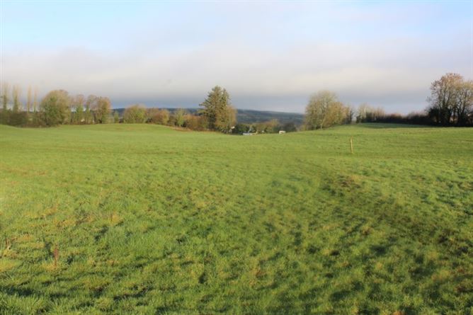Raheen, Borris-in-Ossory, Laois