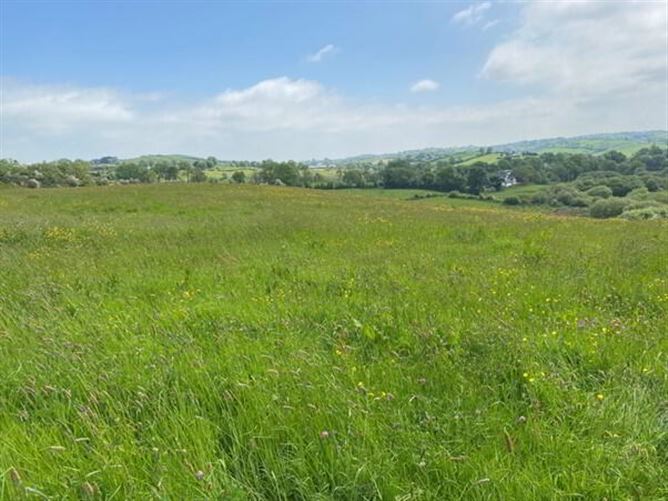 Carrickahogue, Carrickmacross, Monaghan