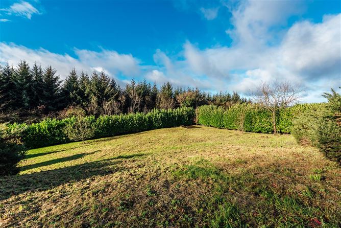 Fossy Upper, Timahoe, Co.Laois, Timahoe, Laois
