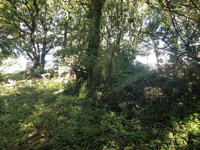 Ogulla, Tulsk, Roscommon
