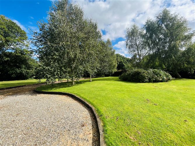 Woodlands, Enniscorthy, Co. Wexford, Enniscorthy, Wexford