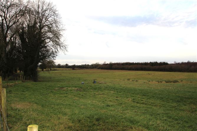 Oldtown, Daingean, Offaly