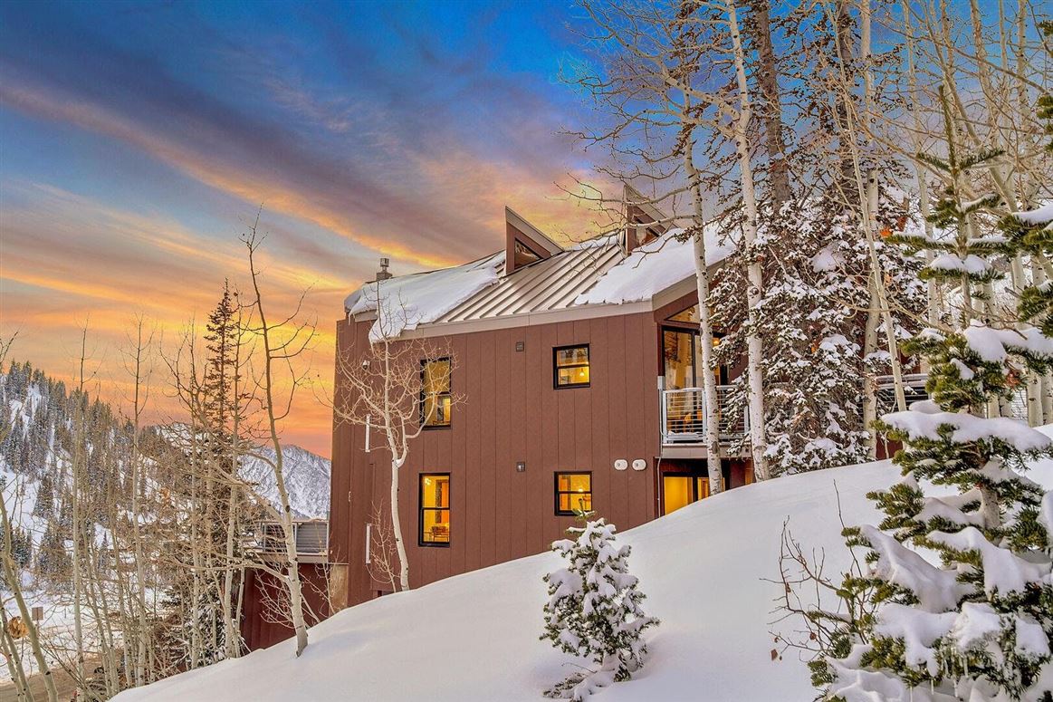 White Timberline,Alta,Utah,USA