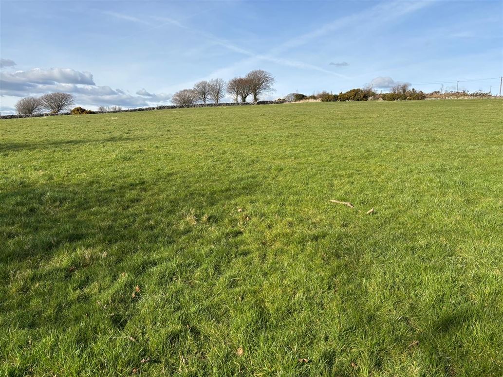 Rathgeran, Ballymurphy, Borris, Carlow