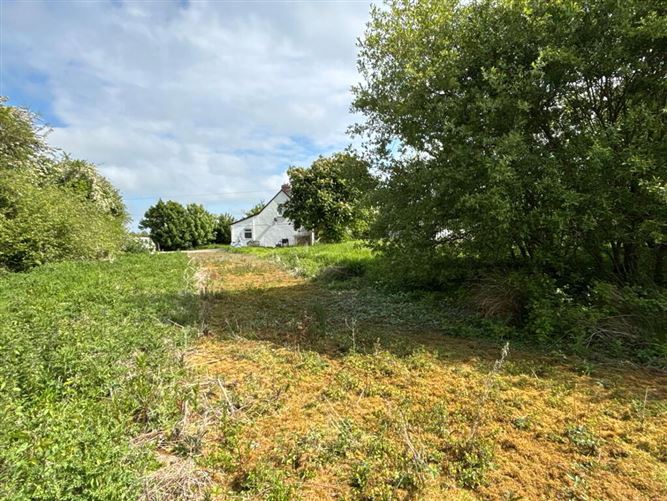 Ballycurnane Lisronagh, Clonmel, Tipperary
