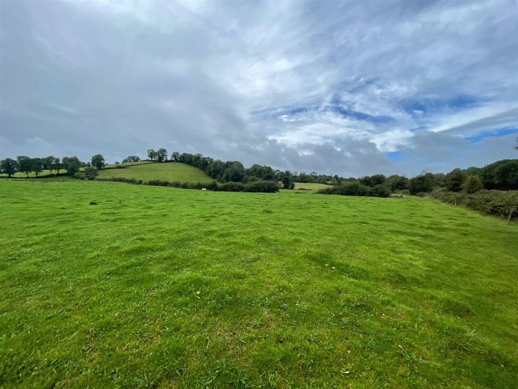 Lands At Clerran, Castleshane, Co. Monaghan Sherry FitzGerald Conor