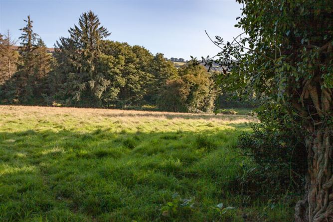 Ballymaghroe, , Ashford, Wicklow