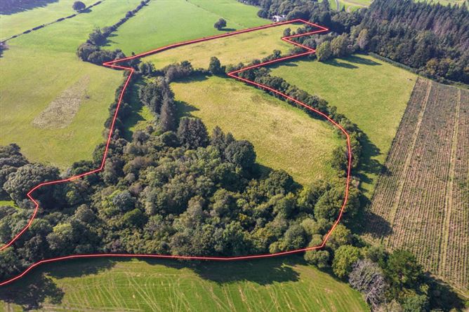 Ballymaghroe, , Ashford, Wicklow