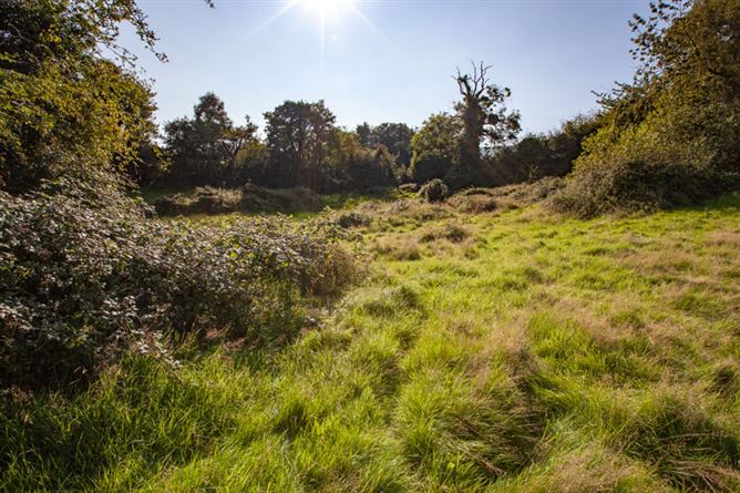 Ballymaghroe, , Ashford, Wicklow
