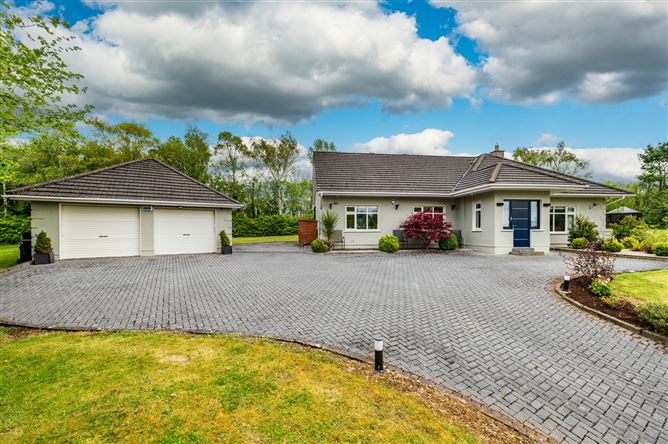 https://photos-a.propertyimages.ie/media/9/9/1/4998199/4bd41e60-927b-4ad0-a596-adc7f603763b_l.jpg