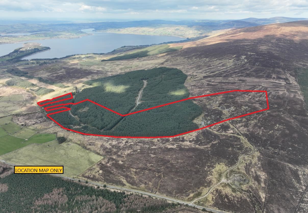 Forestry Plantation on C. 63.6 Acres / 25.7 HA, Carrigacurra, Valleymount, Wicklow