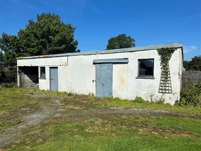 Caherateemore, Athenry, Galway