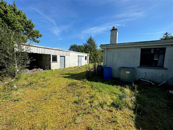 Caherateemore, Athenry, Galway