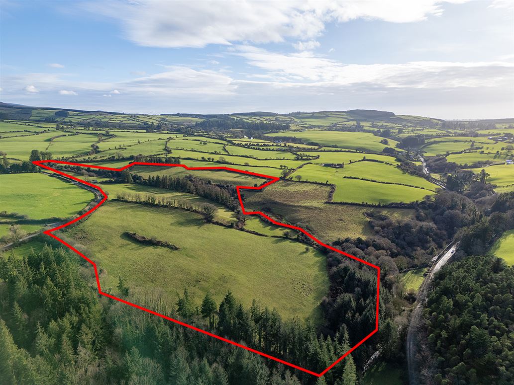 Circa 25 Acres Graignagower, Ballymacarbry, Waterford
