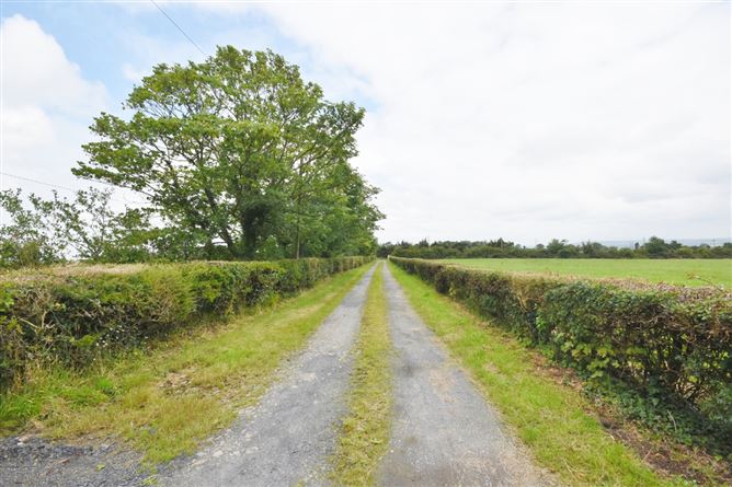 https://photos-a.propertyimages.ie/media/9/9/4/4936499/b87b4f0f-b919-4b96-8c76-607a61b489cf_l.jpg