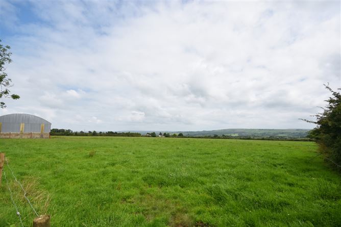 https://photos-a.propertyimages.ie/media/9/9/4/4936499/b87b4f0f-b919-4b96-8c76-607a61b489cf_l.jpg