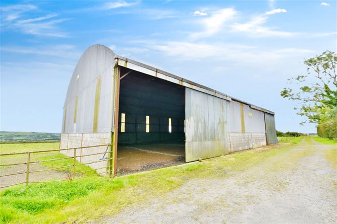 https://photos-a.propertyimages.ie/media/9/9/4/4936499/b87b4f0f-b919-4b96-8c76-607a61b489cf_l.jpg