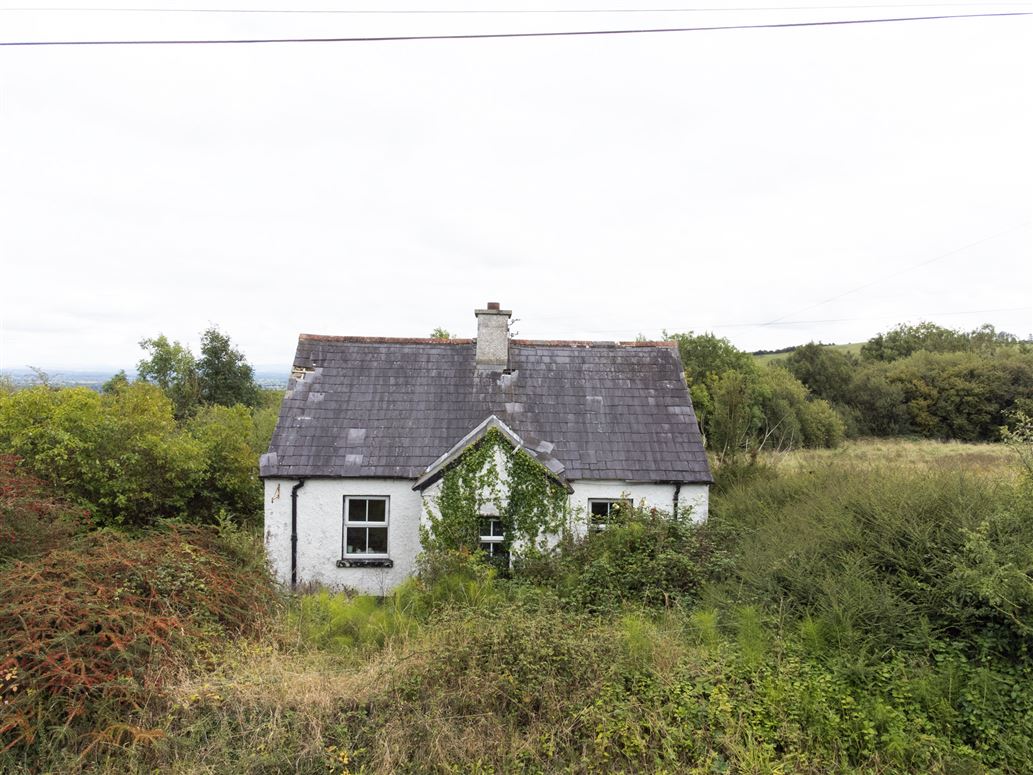 Farnans, Ballylynan, Laois