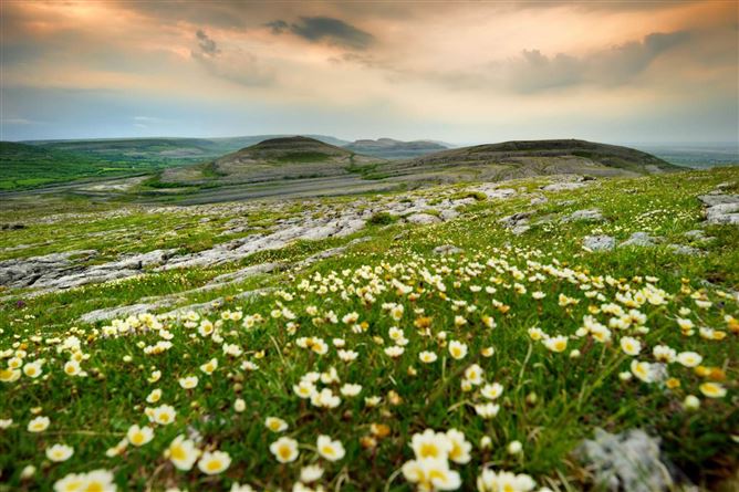 Photo 54 of 55 — Rose Cottage, Oughtdarra, Lisdoonvarna, County Clare