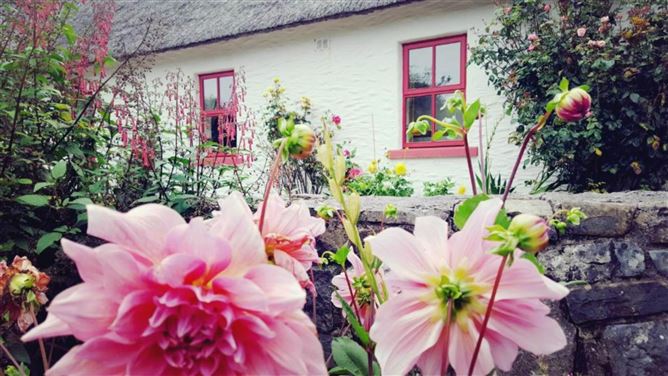 Photo 43 of 55 — Rose Cottage, Oughtdarra, Lisdoonvarna, County Clare