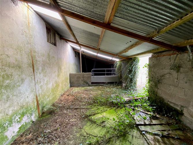 Caherolickane, Durrus, Co. Cork