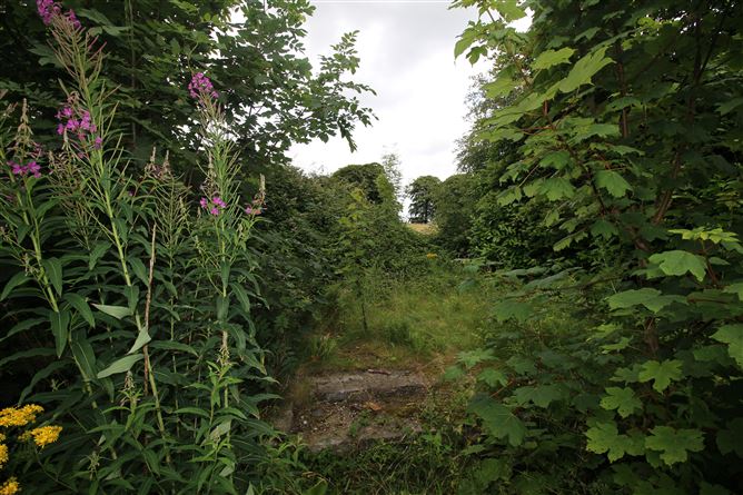 Rathwire Lower, Killucan, Westmeath