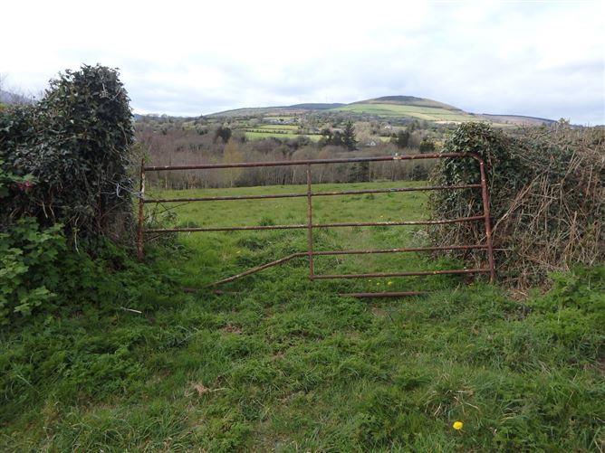 Main image for Site B, Ballypreacus, 000000, Bunclody, Co. Wexford