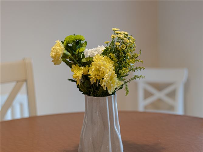 19 The Green, Liffey Hall, Newbridge, Kildare