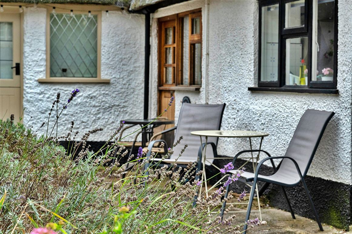 Rural Rendezvous,Stogursey,Somerset,United Kingdom