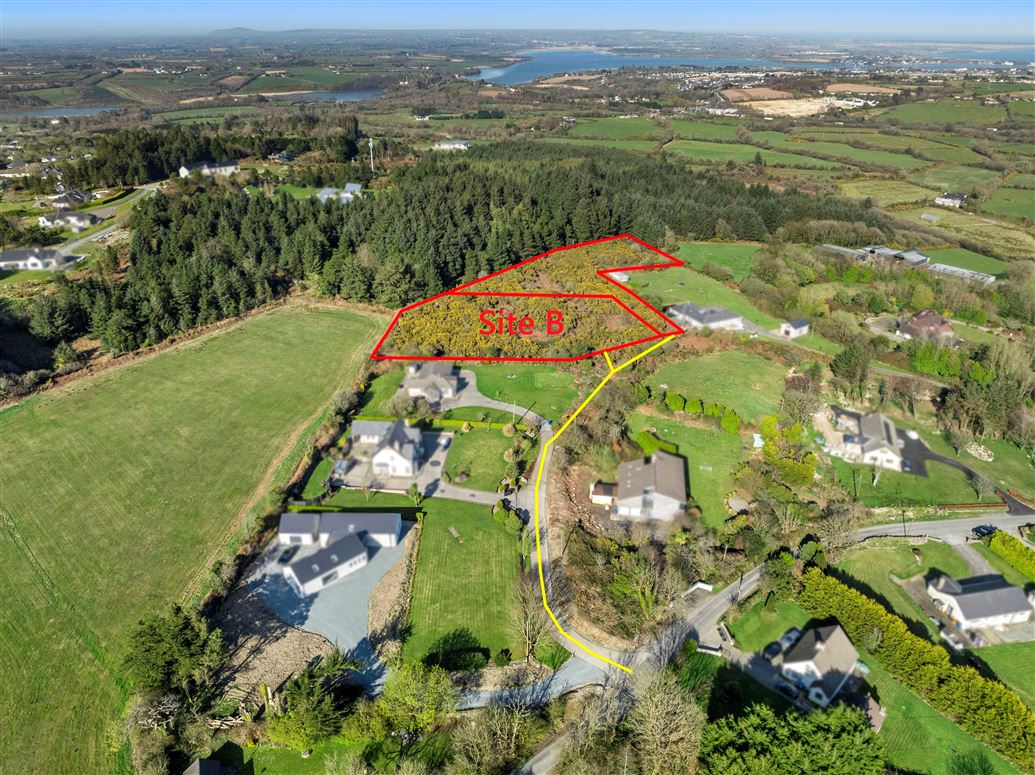Site ‘B’ at Colestown, Barntown, Wexford
