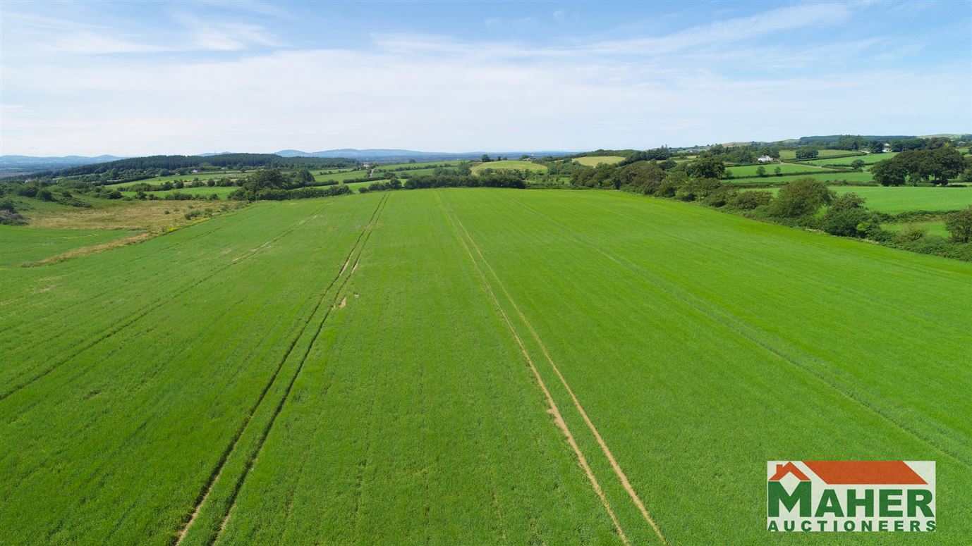 Rathroe, Killenaule, Thurles, Tipperary