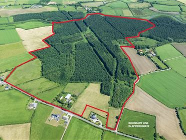 Yellowford, Ballymacoda, Cork