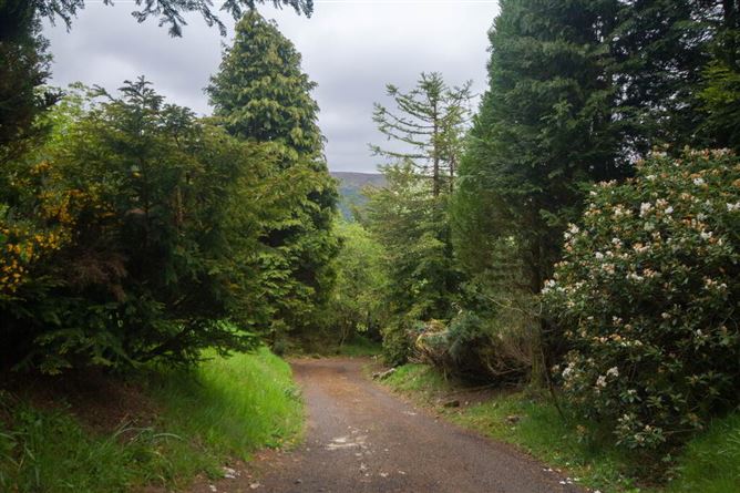 The Ranch, Glenbride, Valleymount, Blessington, Wicklow