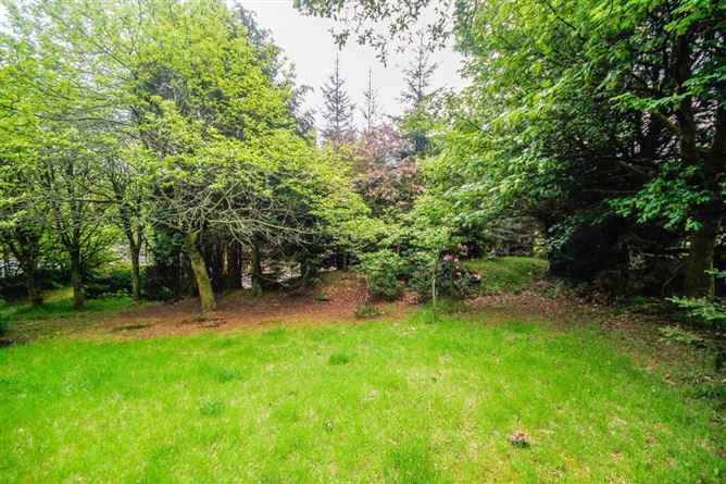 The Ranch, Glenbride, Valleymount, Blessington, Wicklow