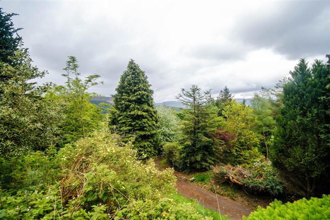 The Ranch, Glenbride, Valleymount, Blessington, Wicklow