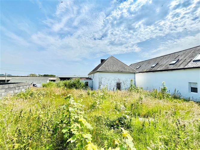 Photo 11 of 32 — The Raven, Curracloe, Wexford